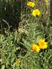 IMG_6739.jpeg