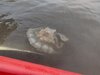 IMG_20240402_112554544_HDR.jpg