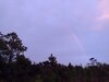 IMG_20240403_192640472.jpg