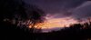 20240407_150317.jpg