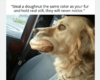 1710208925338.png