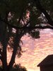 IMG_6980.jpeg