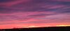20240405_060931.jpg