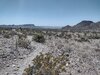 IMG_20240408_150507132_HDR.jpg