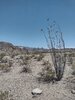 IMG_20240408_143359350_HDR.jpg