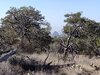 IMG_20240409_094418728.jpg