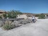 IMG_20240410_102253657_HDR.jpg