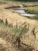 IMG_7105.jpeg