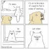 IMG_5992.jpeg