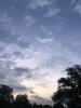 IMG_7126.jpeg