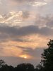 IMG_7138.jpeg