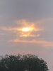 IMG_7144.jpeg