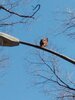 IMG_20210310_125302_Original.jpeg