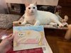 IMG_6152.jpeg