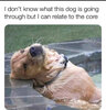 IMG_3343.jpeg