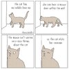 IMG_6423.jpeg