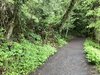 IMG_1154.jpeg