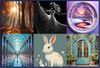 apr30collage.png