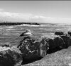 IMG_1200.jpeg
