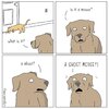IMG_6997.jpeg