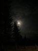 IMG_0993.jpeg