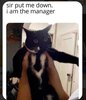 IMG_7196.jpeg