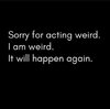 IMG_7772.jpeg