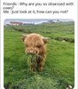 1718738848663.jpeg