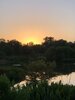 IMG_0273.jpeg