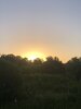 IMG_0281.jpeg