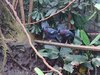 IMG_20240706_105538629.jpg
