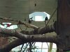 IMG_20240706_110142588.jpg