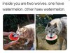 1720811107714.jpeg