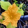 IMG_1548.jpeg