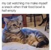 IMG_0817.jpeg