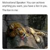 IMG_1536.jpeg