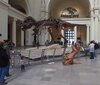 IMG_1538.jpeg