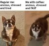 IMG_1580.jpeg