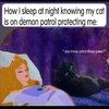 IMG_1627.jpeg