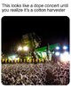 IMG_1904.jpeg