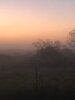 IMG_3149.jpeg
