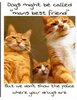 IMG_2048.jpeg