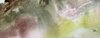 IMG_1825.jpeg