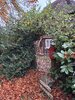 IMG_1937.jpeg
