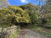 IMG_1830.jpeg