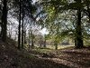 IMG_1835.jpeg