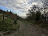 IMG_1869.jpeg