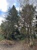 IMG_1882.jpeg