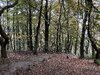 IMG_1890.jpeg