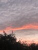 IMG_6616.jpeg